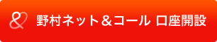 野村ネット&コール 口座開設