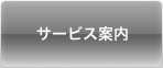 �T�[�r�X�ē�