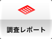 �������|�[�g