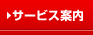 �T�[�r�X�ē�