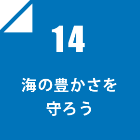 14 海の豊かさを守ろう