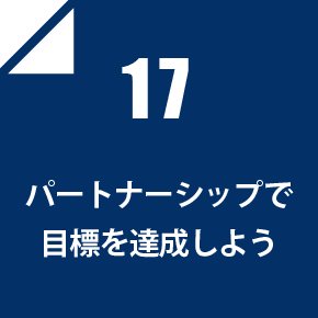 17 パートナーシップで目標を達成しよう