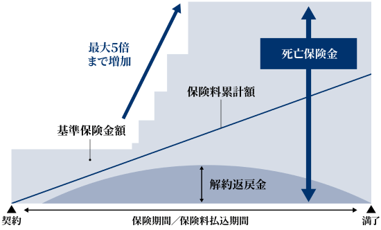 逓増型の定期保険のイメージ図