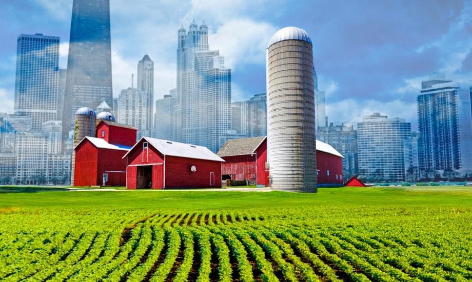 都心のビルや宇宙空間で野菜が栽培できる？ 既に始まっている「未来型農業」とはのイメージ