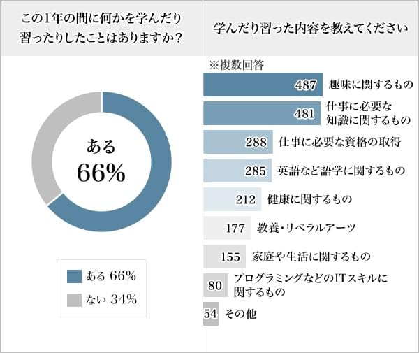 図1：1年間の学びの有無とその内容