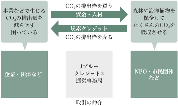 図1：ブルーカーボン・オフセット取引の仕組み