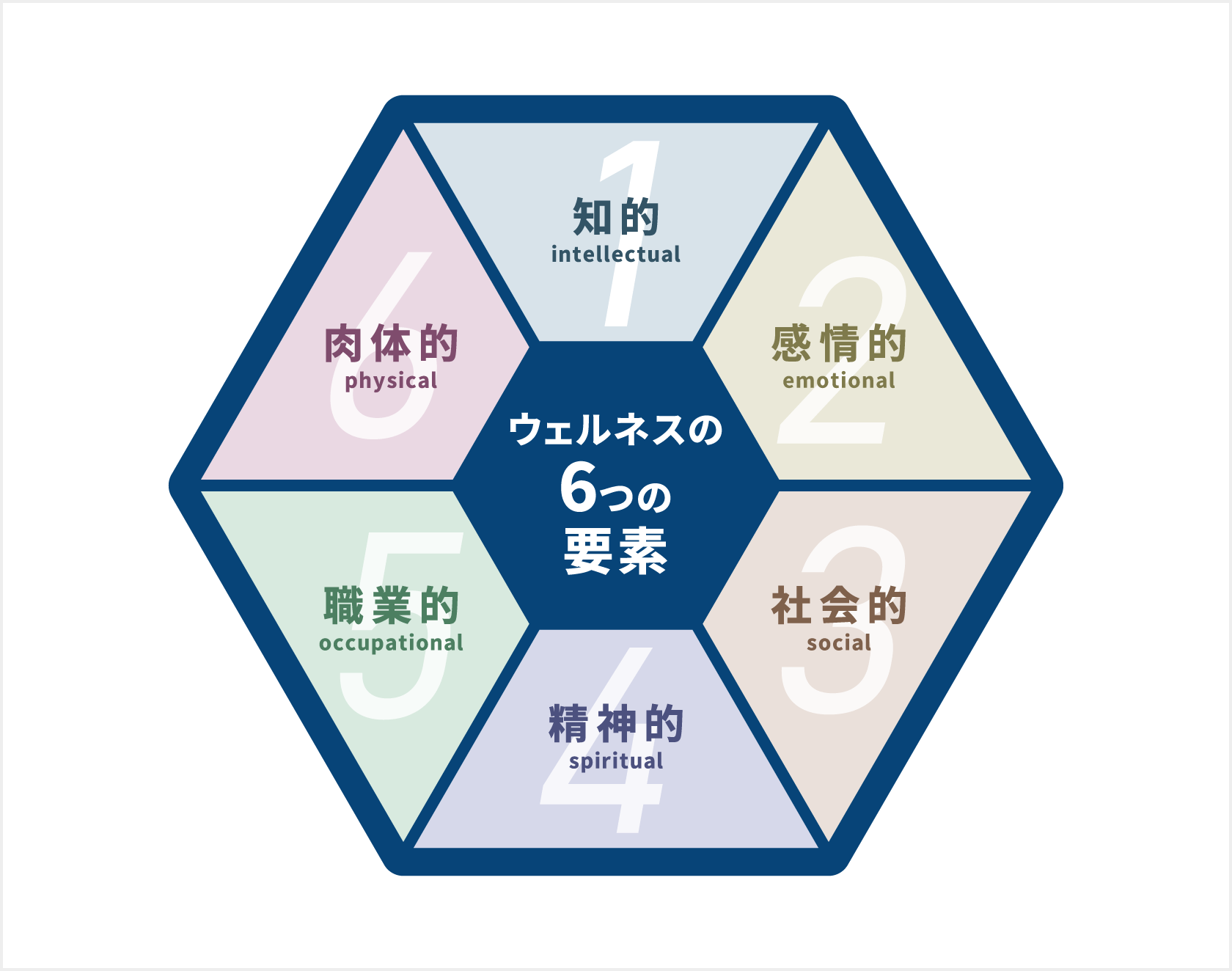 全米ウェルネス協会(National Wellness Institute)が挙げる『ウェルネスの6つの要素』1.知的(intellectual)、2.感情的(emotional)、3.社会的(social)、4.精神的(spiritual)、5.職業的(occupational)、6.肉体的(physical)の6つ。