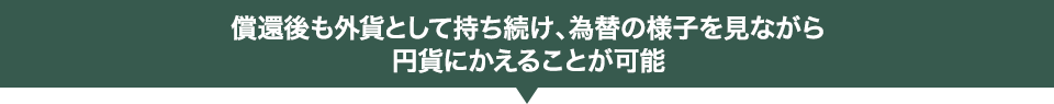 償還後も外貨として持ち続け、為替の様子を見ながら円貨にかえることが可能！