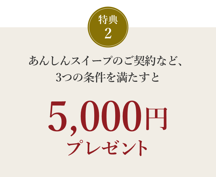 あんしんスイープW特典キャンペーン特典2
