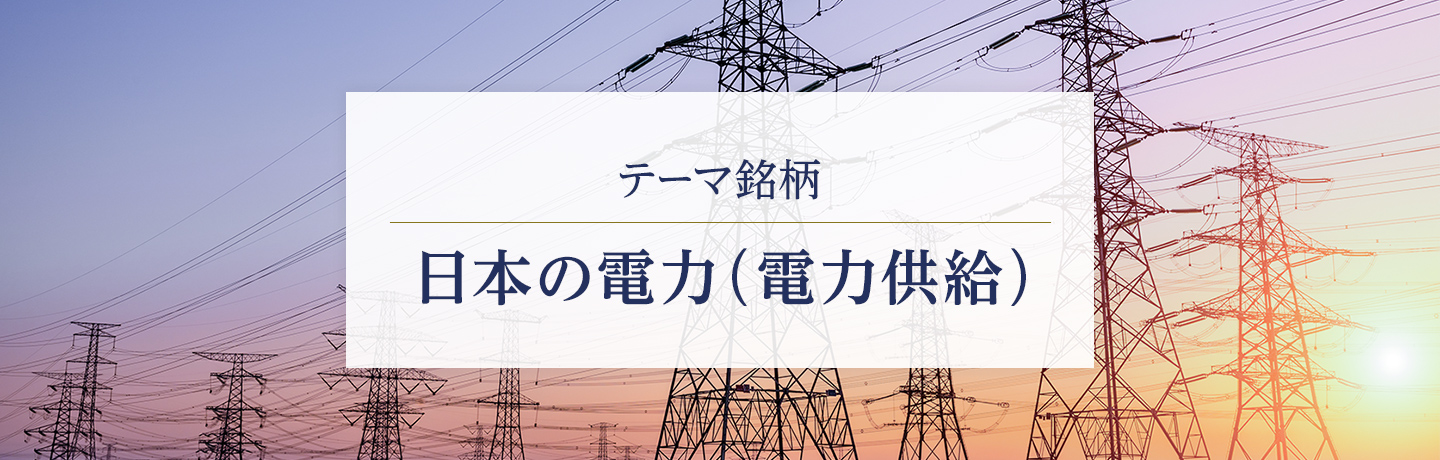 テーマ銘柄　日本の電力（電力供給）