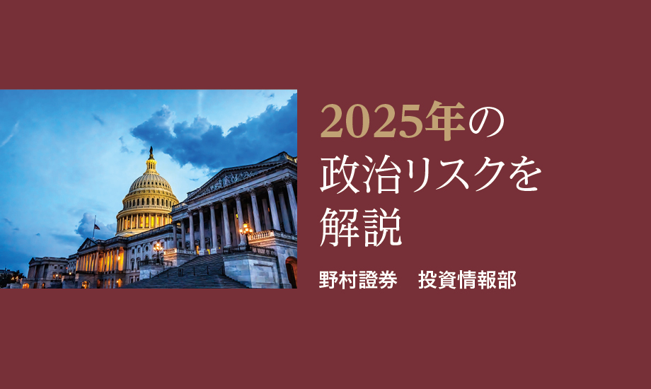2025年の政治リスク：トランプ次期政権発足や国内参院選に注意のイメージ
