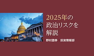 2025年の政治リスク：トランプ次期政権発足や国内参院選に注意のイメージ