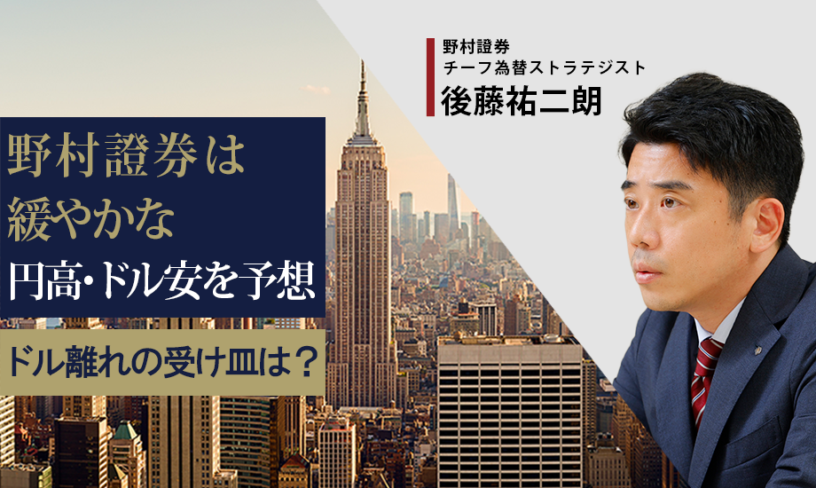 野村證券は緩やかな円高・ドル安を予想　ドル離れの受け皿は？　チーフ為替ストラテジスト・後藤祐二朗のイメージ