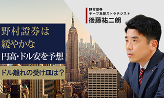 野村證券は緩やかな円高・ドル安を予想　ドル離れの受け皿は？　チーフ為替ストラテジスト・後藤祐二朗のイメージ