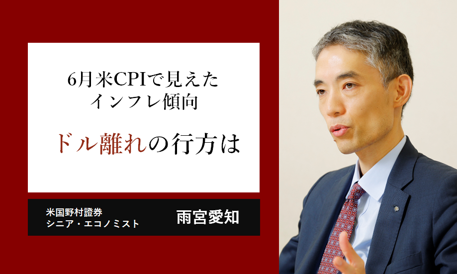 6月米CPIで見えたインフレ傾向　「ドル離れ」の行方は　米国野村證券・雨宮愛知のイメージ