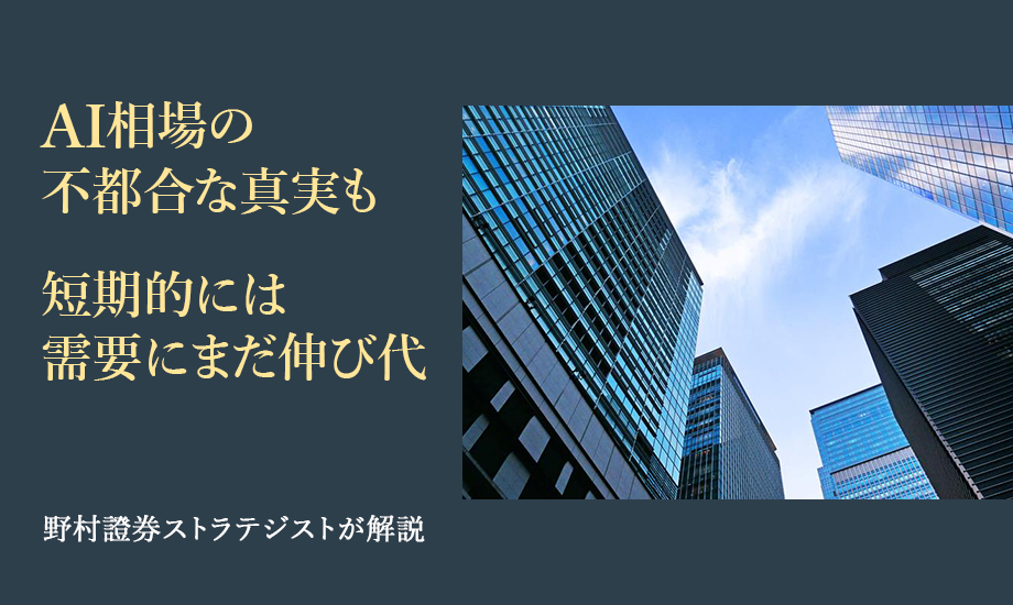AI相場の不都合な真実も 短期的には需要にまだ伸び代 野村證券ストラテジストが解説のイメージ