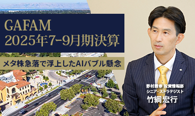 GAFAM決算解説 決算後のメタ株急落で浮上したAIバブル懸念 投資家が見るべきポイントは? 野村證券・竹綱宏行のイメージ