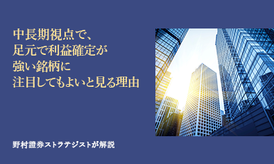 中長期視点で、足元で利益確定が強い銘柄に注目してもよいと見る理由　野村證券ストラテジストが解説のイメージ