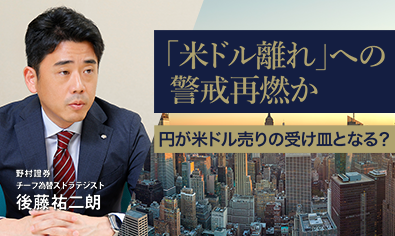 「米ドル離れ」への警戒再燃か　円が米ドル売りの受け皿となる？　野村證券・後藤祐二朗のイメージ
