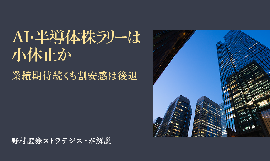 AI・半導体株ラリーは小休止か　業績期待続くも割安感は後退　野村證券ストラテジストが解説のイメージ