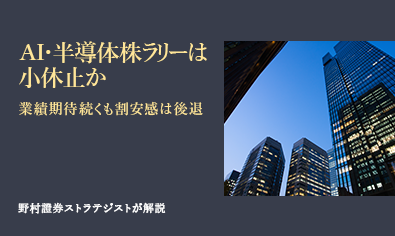 AI・半導体株ラリーは小休止か　業績期待続くも割安感は後退　野村證券ストラテジストが解説のイメージ